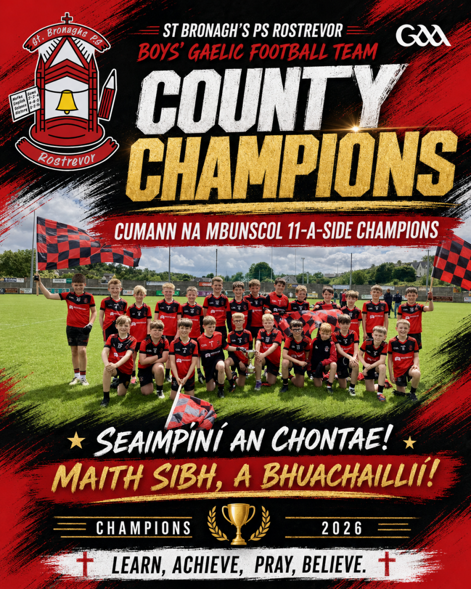 Cumann na mBunscol Final