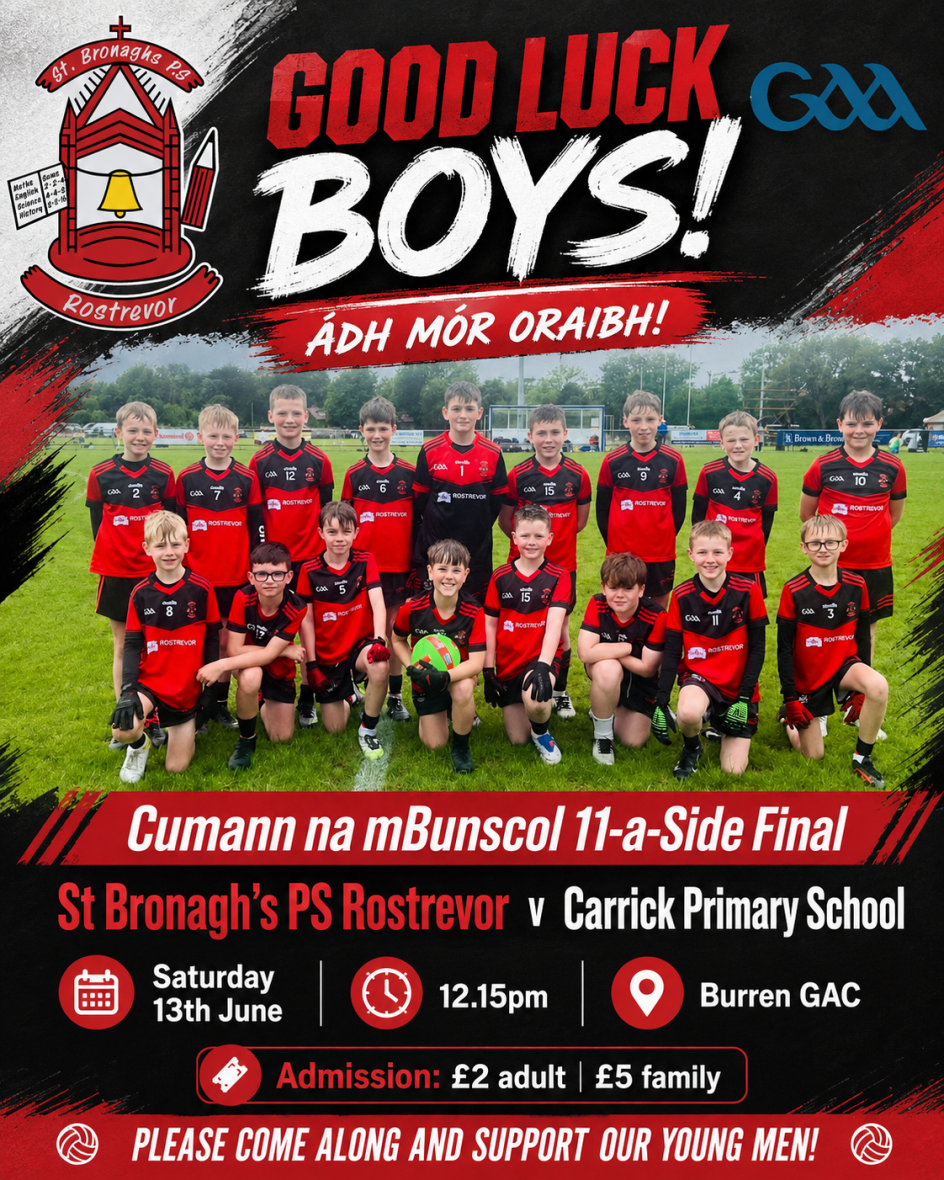 Cumann na mBunscol Final